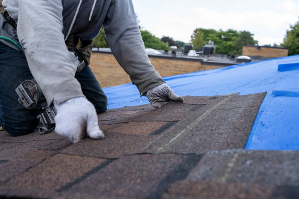 Best Commercial Roof Installation  in Richmond West, FL