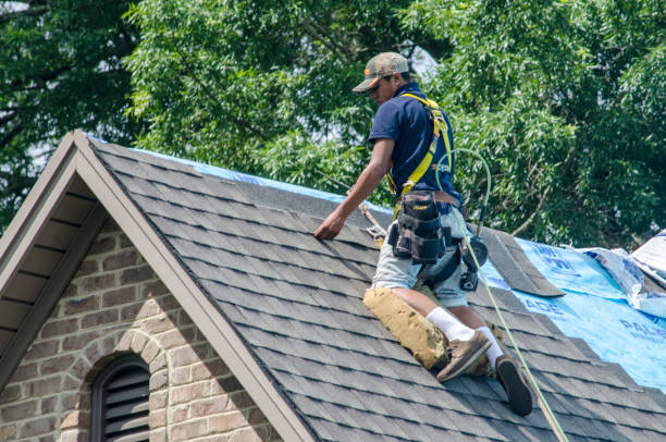Best Roof Repair Services  in Richmond West, FL